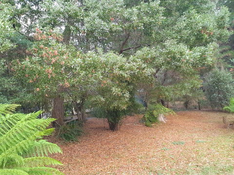 Roland B&B - Accommodation in Brisbane 40