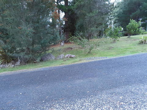 Roland B&B - Accommodation in Brisbane 24