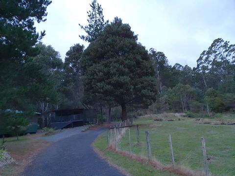 Roland B&B - Accommodation in Brisbane 25
