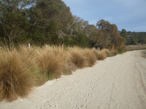 Pipe Clay Cottage - Accommodation in Brisbane 38