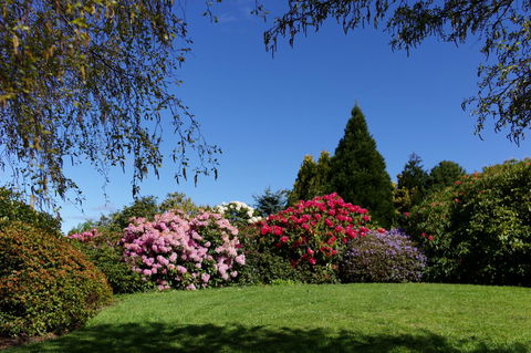 Highgrove - Accommodation in Brisbane 15