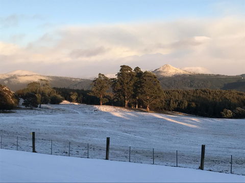 Highgrove - Accommodation in Brisbane 26