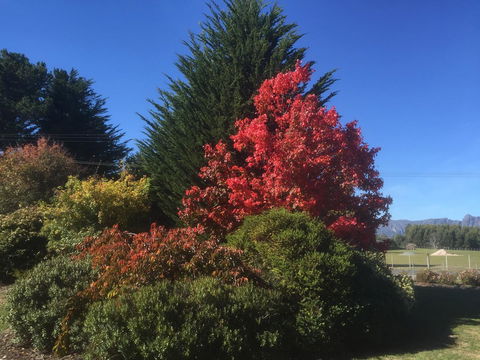 Highgrove - Accommodation in Brisbane 22