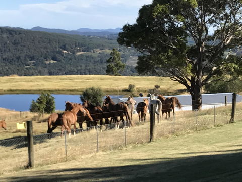 Highgrove - Accommodation in Brisbane 25