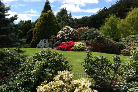 Highgrove - Accommodation in Brisbane 18