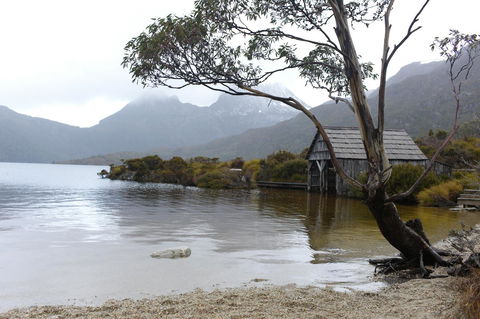 Highgrove - Accommodation in Brisbane 28