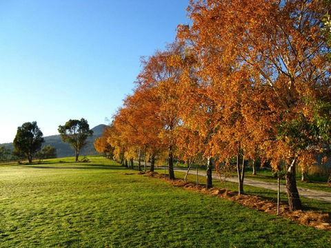 Plovers Ridge Country Retreat - Accommodation in Brisbane 8