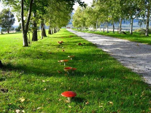 Plovers Ridge Country Retreat - Accommodation in Brisbane 0