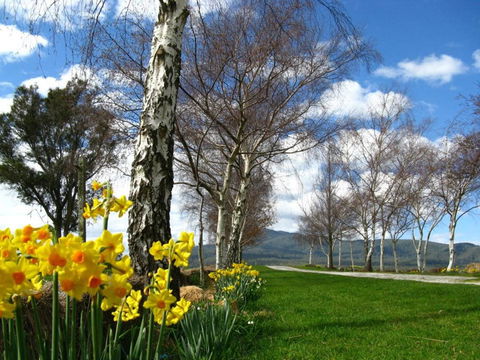 Plovers Ridge Country Retreat - Accommodation in Brisbane 4