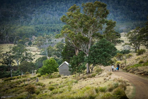 Twamley Farm - Accommodation in Brisbane 16