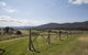 Twamley Farm - thumb 7