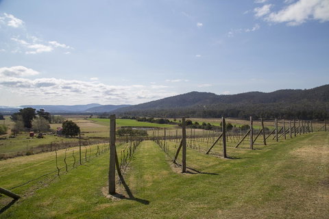 Twamley Farm - Accommodation in Brisbane 7