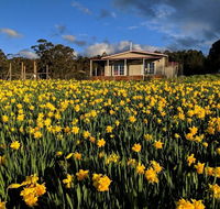 Mountain Blue Guest House - Accommodation in Brisbane
