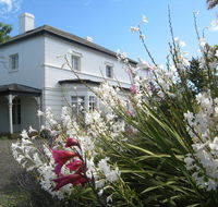 The Grove Cottages - Accommodation in Brisbane