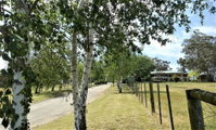 Book Nicholson Accommodation Vacations Accommodation in Brisbane Accommodation in Brisbane