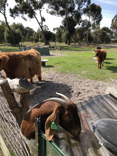 Nutcrackers Lodge - Accommodation in Brisbane 2