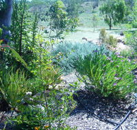 Old Miners' Cottages Bed and Breakfast - Accommodation in Brisbane