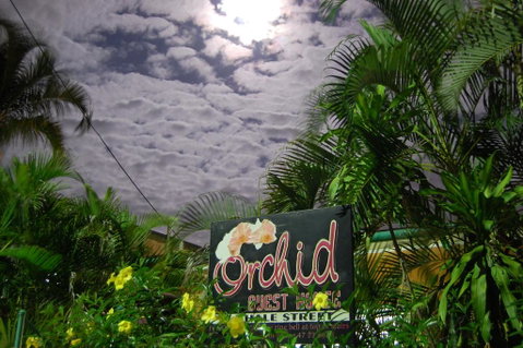 Orchid Guest House - Accommodation in Brisbane 1