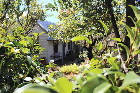 Quince Cottage - Accommodation in Brisbane 2