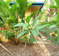 Rainforest Cottage Cairns - Accommodation in Brisbane