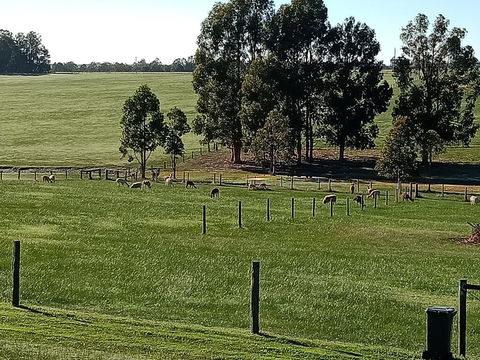 Redtail Ridge Cottages - Accommodation in Brisbane 1