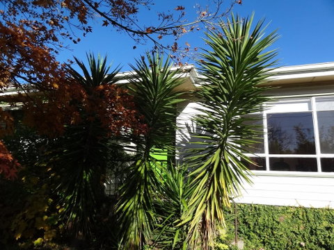 Retro Retreat - Accommodation in Brisbane 2