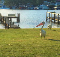 Riverfront Getaway - Mannum - Accommodation in Brisbane