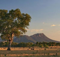 Rubicon Hotel Motel - Accommodation in Brisbane