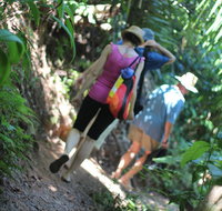 Sanctuary Retreat - Accommodation in Brisbane