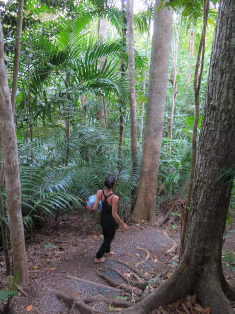 Sanctuary Retreat - Accommodation in Brisbane 3
