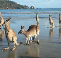 Seaforth Holiday Units - Accommodation in Brisbane