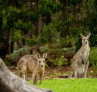 Secura Lifestyle Countryside Kalaru - Accommodation in Brisbane