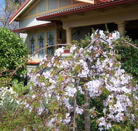 Shelton-Lea Bed  Breakfast - Accommodation in Brisbane
