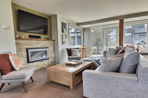 Ski Bird - Accommodation in Brisbane 0