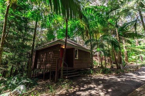 Songbirds Rainforest Retreat - Accommodation in Brisbane 2