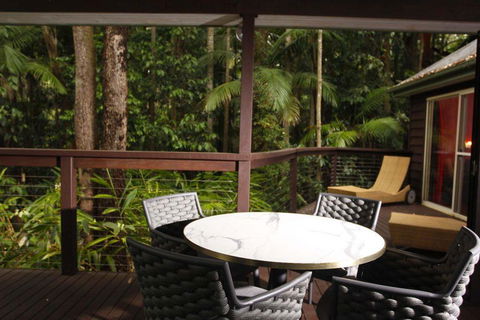 Songbirds Rainforest Retreat - Accommodation in Brisbane 1