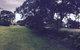 Spring Bay Villas - thumb 1