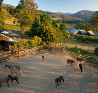 Spring Spur - Accommodation in Brisbane