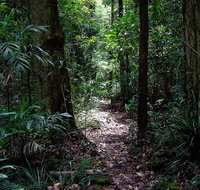 Springbrook Lyrebird Retreat - Accommodation in Brisbane
