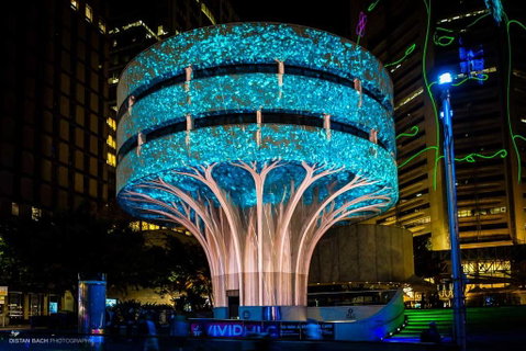 Sydney Airport Executive Homestay - Accommodation in Brisbane 2