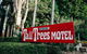 Tall Trees Motel Mountain Retreat - thumb 0
