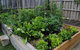 Brampton Cottage - thumb 4