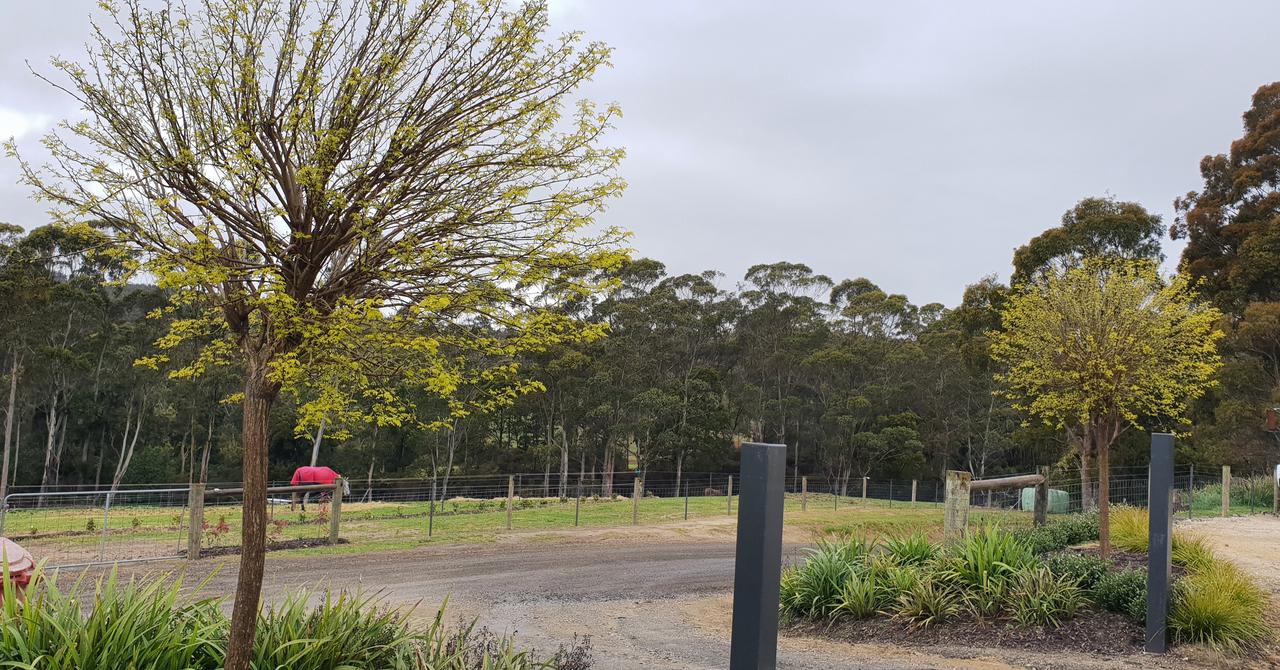  Accommodation in Brisbane