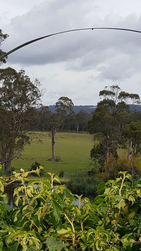 Hazelcreek Cottages - Accommodation in Brisbane 34