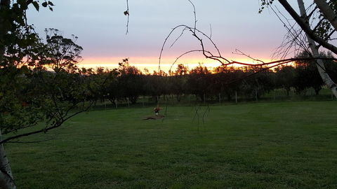 Hazelcreek Cottages - Accommodation in Brisbane 33