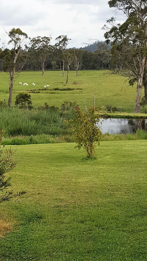 Hazelcreek Cottages - Accommodation in Brisbane 7