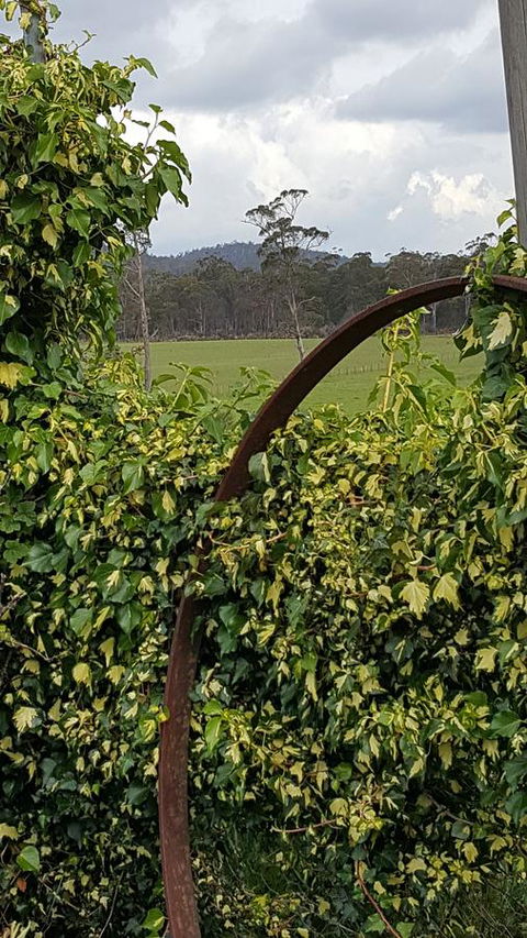 Hazelcreek Cottages - Accommodation in Brisbane 36