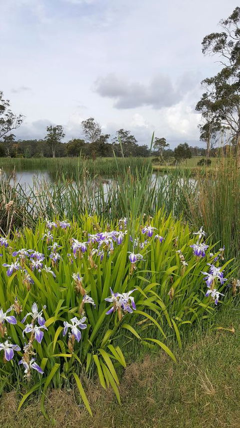 Hazelcreek Cottages - Accommodation in Brisbane 1