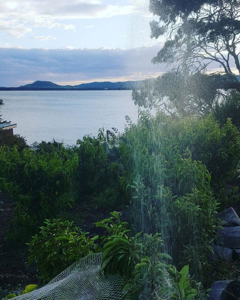 AppleBay Guest House - Accommodation in Brisbane 31