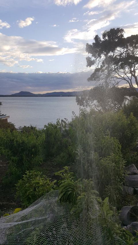 AppleBay Guest House - Accommodation in Brisbane 22